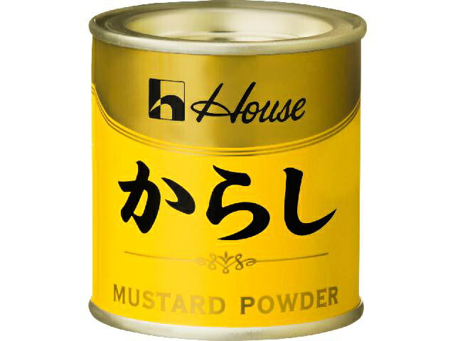 ハウス からし 缶 35g