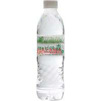 ビクトリー ピュアの森 500ml
