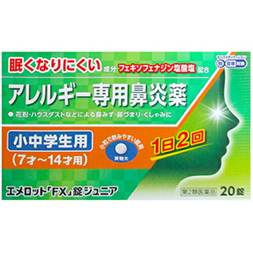 エメロット「FX」錠ジュニア 20錠