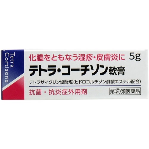 テトラ・コーチゾン軟膏(5g)