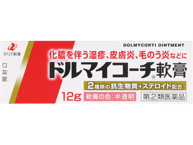ドルマイコーチ軟膏 12g