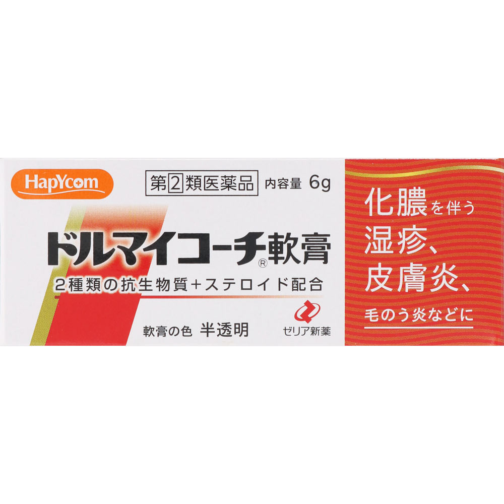 ドルマイコーチ軟膏 6g