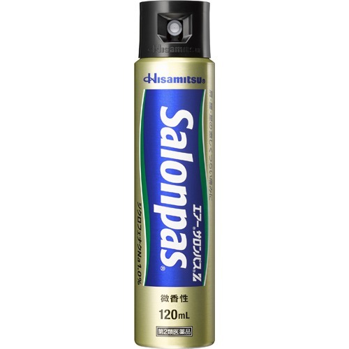 エアーサロンパスZ 120ml
