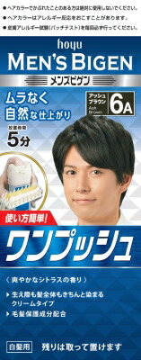 メンズビゲン ワンプッシュ 6A アッシュブラウン 80g