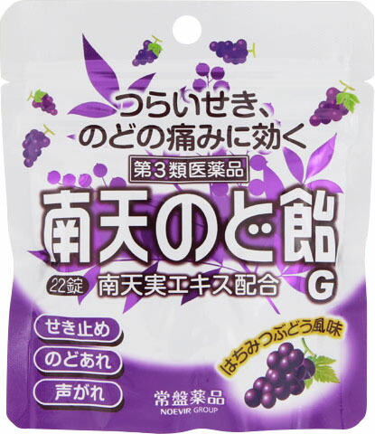 南天のど飴G 22錠