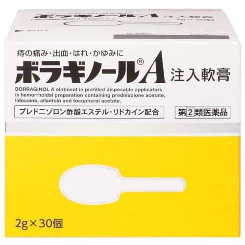 ボラギノールA注入軟膏(2g*30個入)