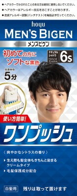 メンズビゲン ワンプッシュ 6S ナチュラルシャドウ 80g
