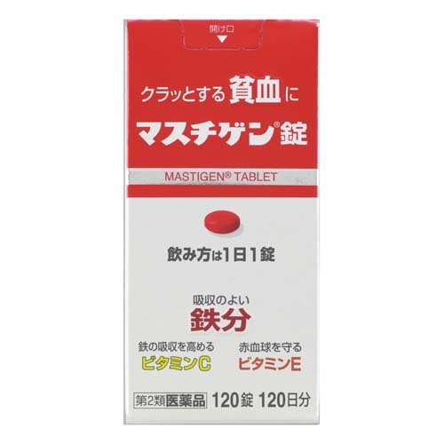 マスチゲン錠(120錠)