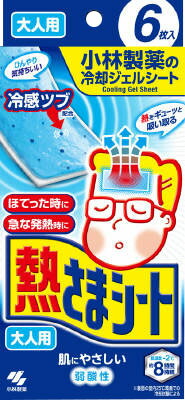 熱さまシート 大人用 6枚