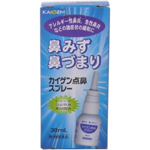 カイゲン点鼻スプレー(30mL(セルフメディケーション税制対象))