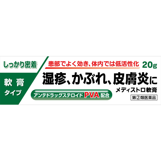 メディストロ軟膏 20g