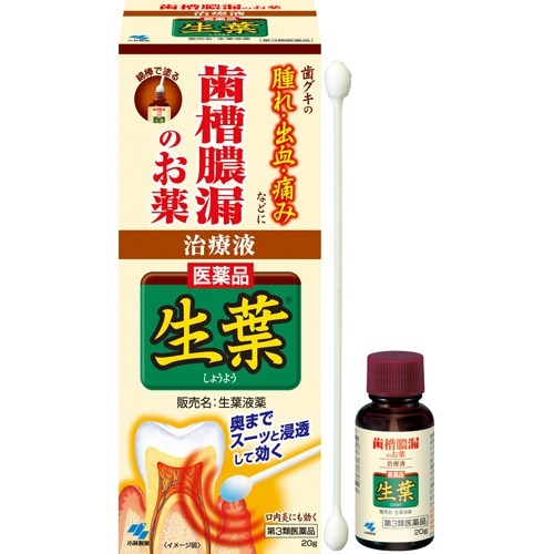 小林製薬 生葉液薬(20g)
