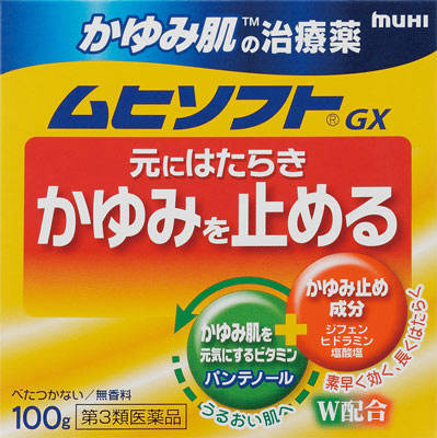 かゆみ肌の治療薬 ムヒソフトGX 100g