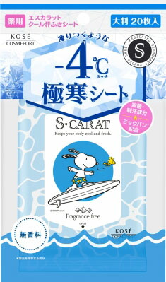 エスカラット 薬用デオドラント 大判クールシート (無香料) 20枚