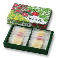 六花亭 六花の森 12個