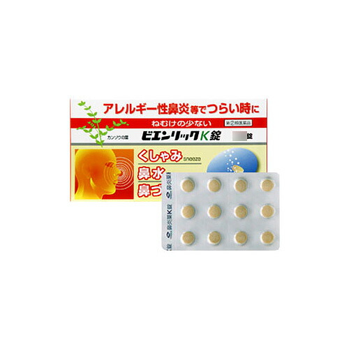 ビエンリックK錠 24錠
