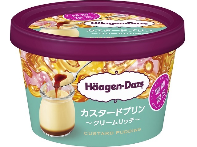 ハーゲンダッツ ミニカップ カスタードプリン クリームリッチ 110ml