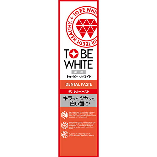 トゥービー・ホワイト 薬用デンタルペースト 100g