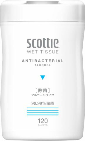 スコッティ ウェットティシュー 除菌 アルコールタイプ 本体 120枚
