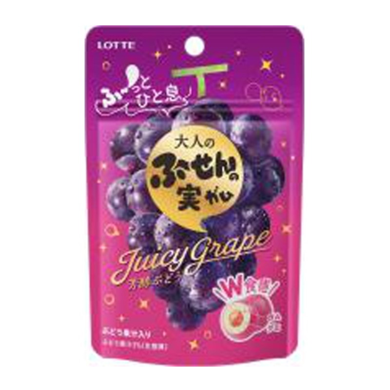 ロッテ 大人のふ～せんの実 芳醇ぶどう 23gの商品画像