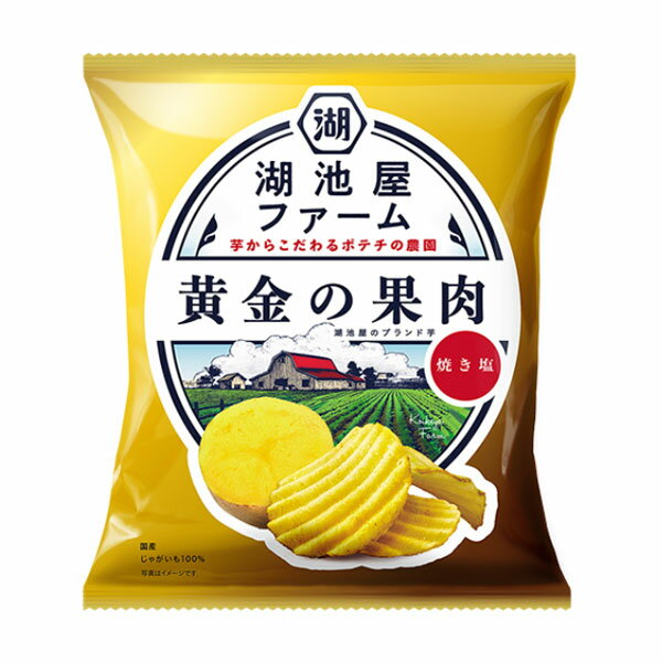 湖池屋 湖池屋ファーム 黄金の果肉 焼き塩 55g