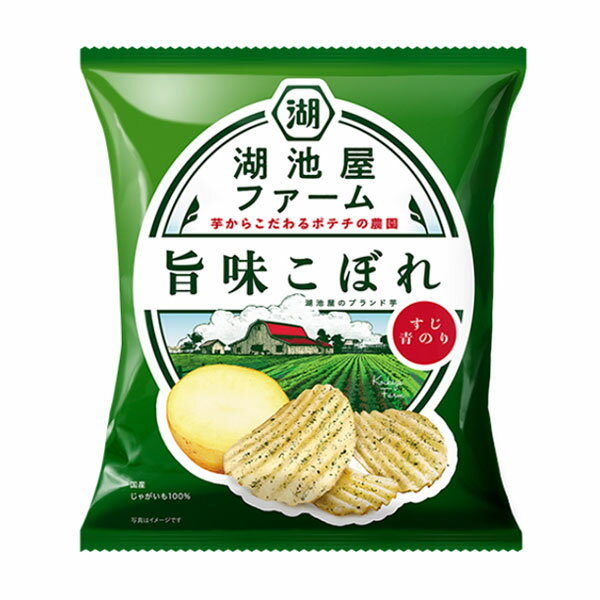湖池屋 湖池屋ファーム 旨味こぼれすじ青のり 55g