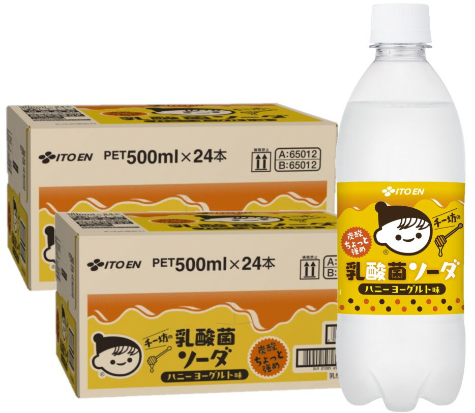 チチヤス 炭酸ちょっと強め 乳酸菌ソーダ ハニーヨーグルト味 500ml