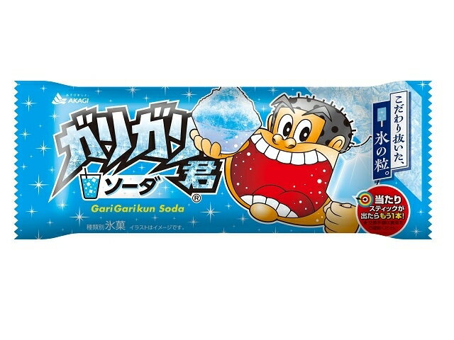 赤城乳業 ガリガリ君 ソーダ 105ml