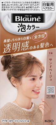 ブローネ 泡カラー 1N サンドベージュ 108ml