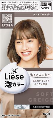 リーゼ 泡カラー ソフトグレージュ 108mlの商品画像