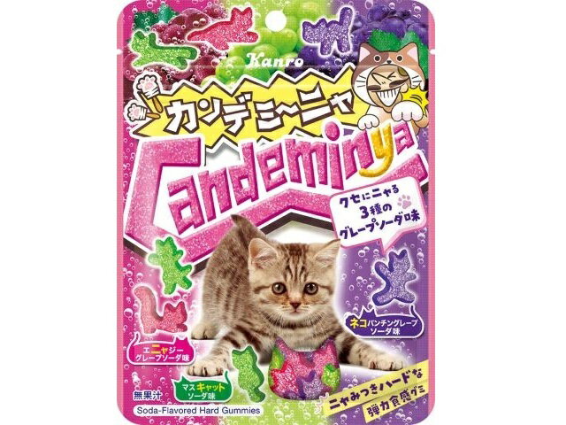 カンロ カンデミーニャグミ 60gの商品画像