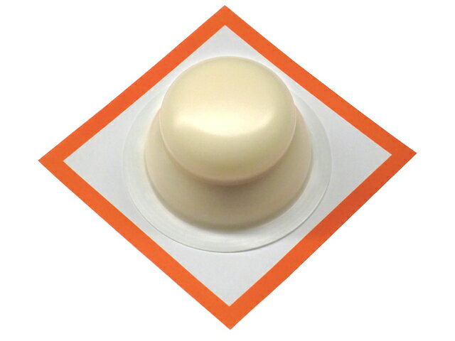 越の舞本舗 お鏡餅 160g