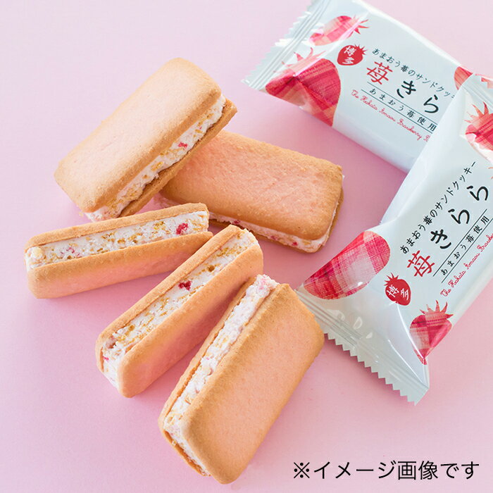 宝物産 苺きらら 5個の商品画像