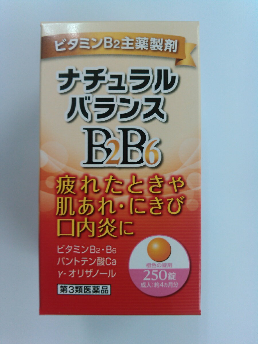(第3類医薬品)ナチュラルバランスBB 250錠の商品画像