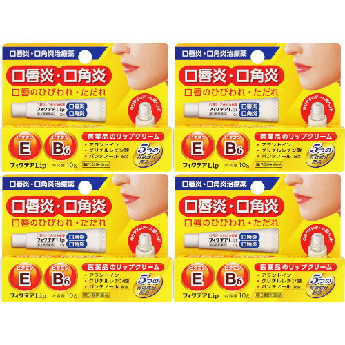 JM フィクテアLip 10g