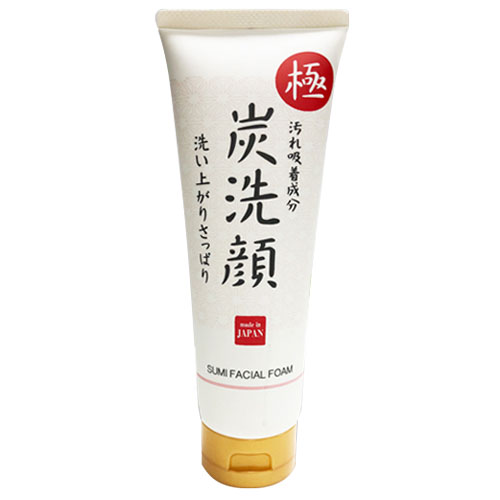 極 炭洗顔炭 洗顔 毛穴