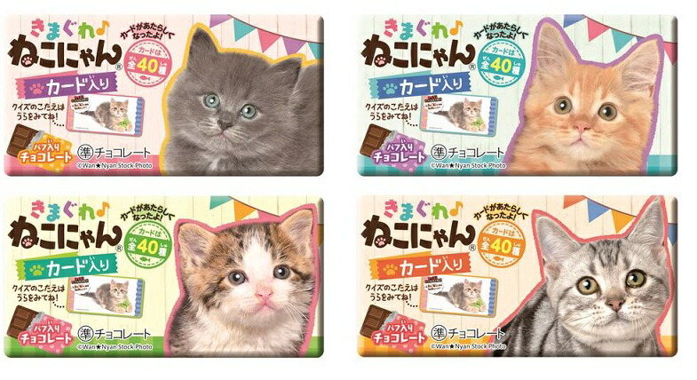正栄デリシィ emmy きまぐれねこにゃん 1枚