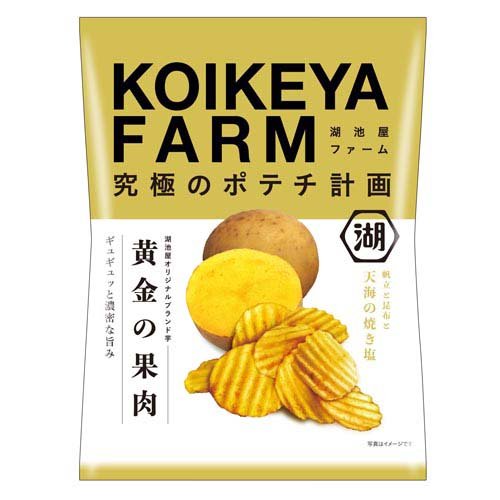 湖池屋ファーム 黄金の果肉 天海の焼き塩(55g)
