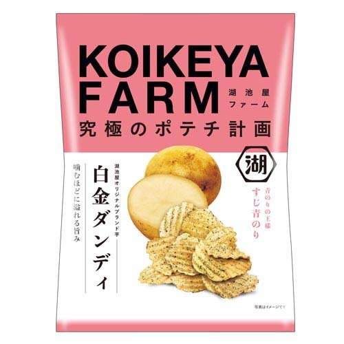湖池屋ファーム 白金ダンディ すじ青のり(55g)