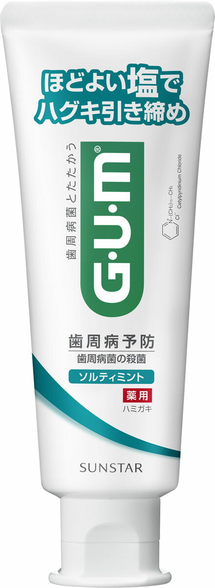 ガム・デンタルペースト ソルティミント スタンディング 150g