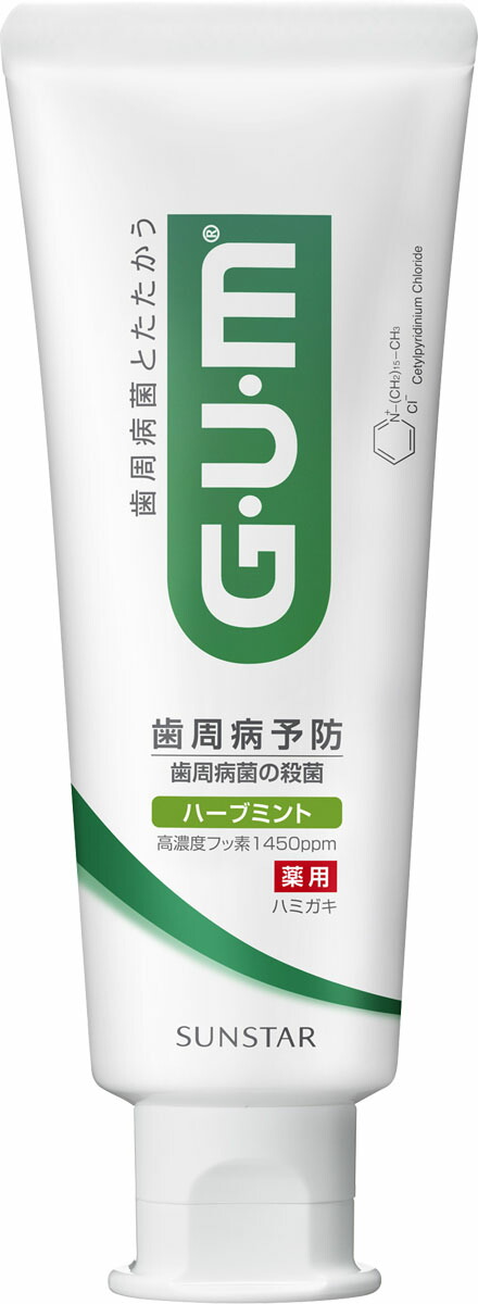 ガム・デンタルペースト スタンディング 120gの商品画像