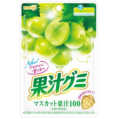 果汁グミ マスカット(54g)