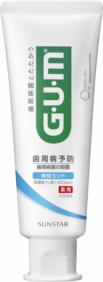 ガム・デンタルペースト 爽快タイプ 120g