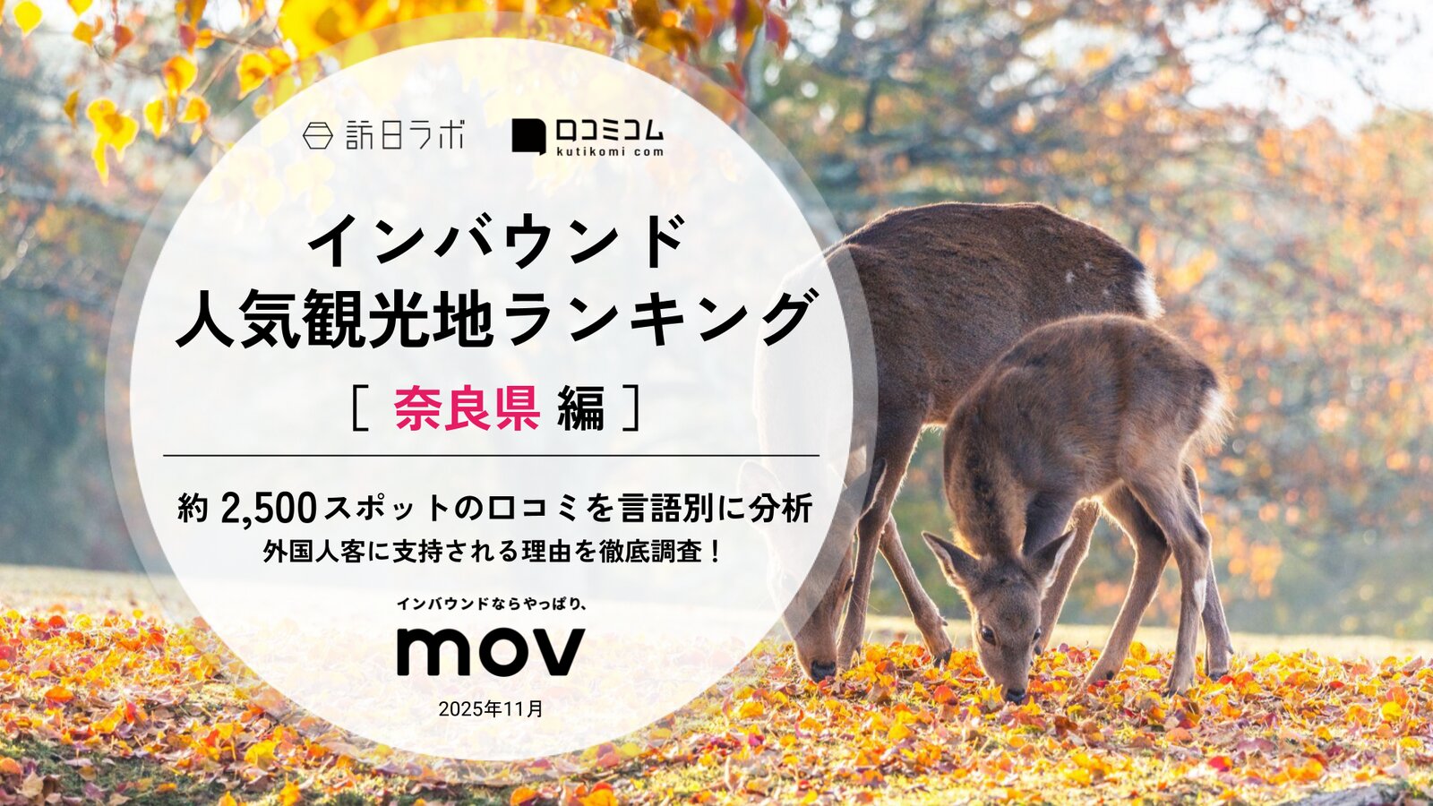 【2025年最新】インバウンド人気観光地ランキング［奈良県編］ いま訪日客に人気No.1のスポットは？